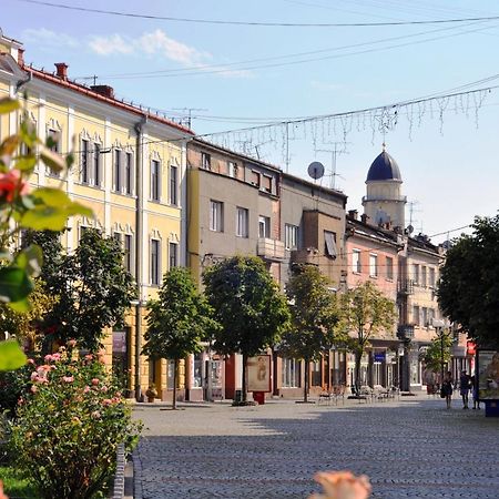 Large Apartment In The City Center Мукачево Экстерьер фото